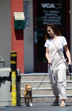MINKA KELLY Leaves Local Vets with Her Dogs in West Hollywood 08/24/2017
