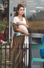 NIKKI REED Out Shopping in Los Angeles 08/29/2017