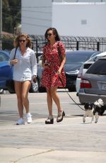 NINA DOBREV Out with Her Dog in New York 08/07/2017