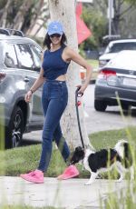 NINA DOBREV Takes Her Dog Out for a Walk in Los Angeles 08/15/2017