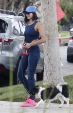 NINA DOBREV Takes Her Dog Out for a Walk in Los Angeles 08/15/2017