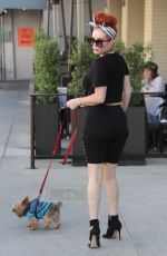 PHOEBE PRICE Out with Her Dog in Beverly Hills 08/29/2017