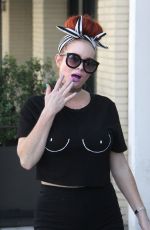 PHOEBE PRICE Out with Her Dog in Beverly Hills 08/29/2017