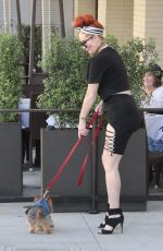 PHOEBE PRICE Out with Her Dog in Beverly Hills 08/29/2017