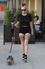 PHOEBE PRICE Out with Her Dog in Beverly Hills 08/29/2017