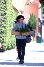 SARA GILBERT Out Shopping in Los Angeles 08/10/2017
