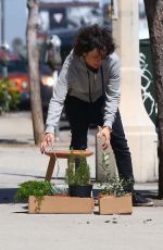 SARA GILBERT Out Shopping in Los Angeles 08/10/2017
