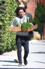 SARA GILBERT Out Shopping in Los Angeles 08/10/2017