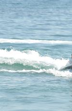 TALLIA STORM in Swimsuit Riding a Jet Ski in Marbella 08/20/2017
