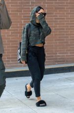 VANESSA HUDGENS Leaves a Doctors Office in Beverly Hills 08/16/2017