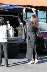 ANGELINA JOLE Shopping Grocery in Los Feliz 09/24/2017