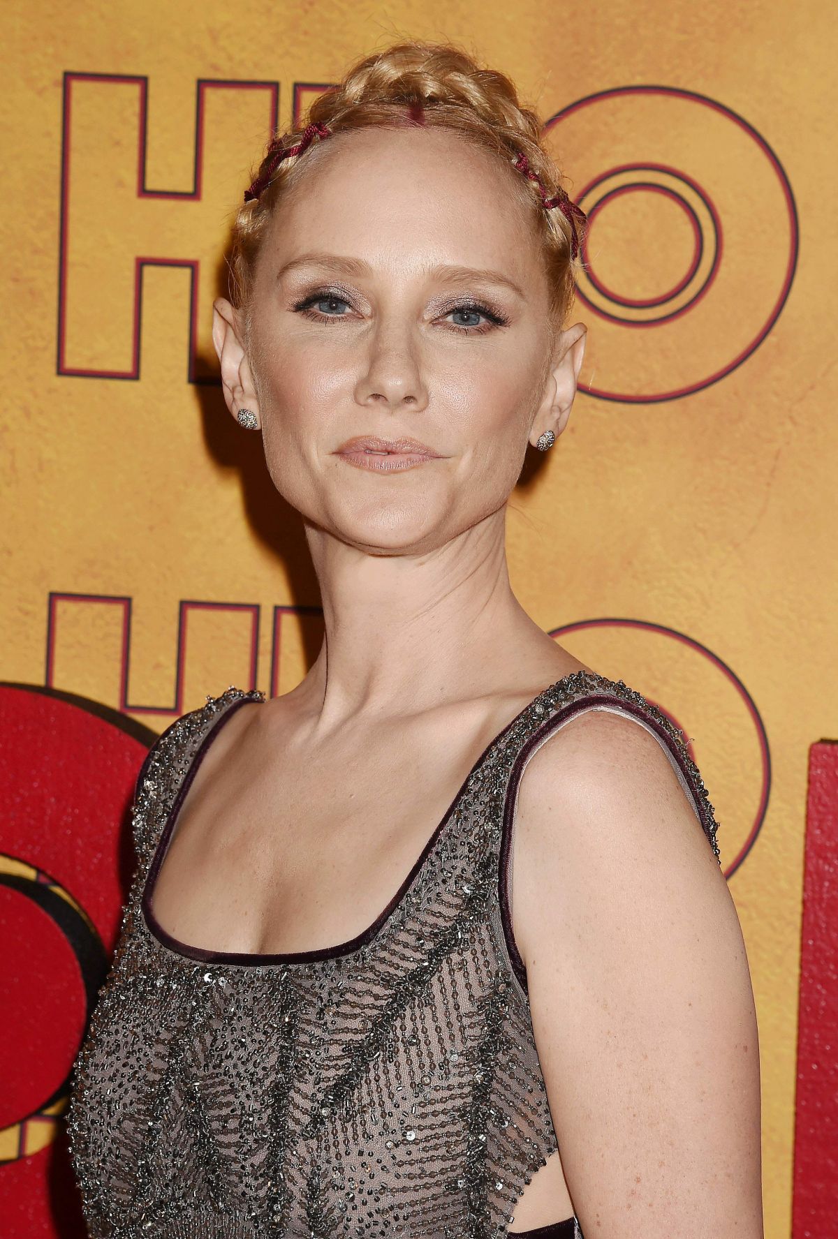 ANNE HECHE at HBO Post Emmy Awards Reception in Los ...
