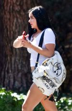ARIEL WINTER in Daisy Dukes Out and About in Los Angeles 08/28/2017