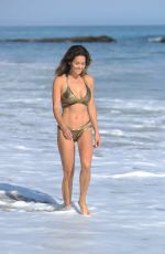 BROOKE BURKE in a Gold Bikini at a Beach in Malibu 08/30/2017