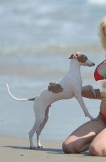 COURTNEY STODDEN in Bikini at a Beach in Los Angeles 08/29/2017