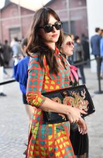 DAKOTA JOHNSON at Gucci Fashion Show at Milan Fashion Week 09/20/2017