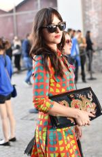 DAKOTA JOHNSON at Gucci Fashion Show at Milan Fashion Week 09/20/2017