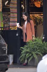 DAKOTA JOHNSON Out and About in New York 09/29/2017