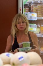 GOLDIE HAWN Shopping at Whole Foods in Los Angeles 09/03/2017