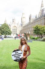 JOANNA KRUPA Wearing Bodypaint Protesting Outside Westminster in London 09/11/2017