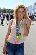 MICHELLE HUNZIKER at Formula One Italian Grand Prix in Monza 09/003/2017