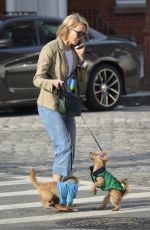 NAOMI WATTS Out with Her Dogs in New York 09/11/2017
