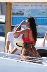 NICOLE SCHERZINGER in Swimsuit at a Boat in Ibiza 06/09/2017