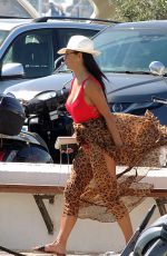 NICOLE SCHERZINGER in Swimsuit at a Boat in Ibiza 06/09/2017