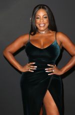 NIECY NASH at Dynamic & Diverse Emmy Reception in Los Angeles 09/12/2017