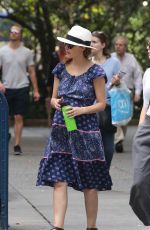 Pregnant ROSE  BYRNE Out in New York 09/17/2017