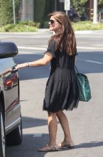 SELMA BLAIR Out Shopping in Los Angeles 09/01/2017