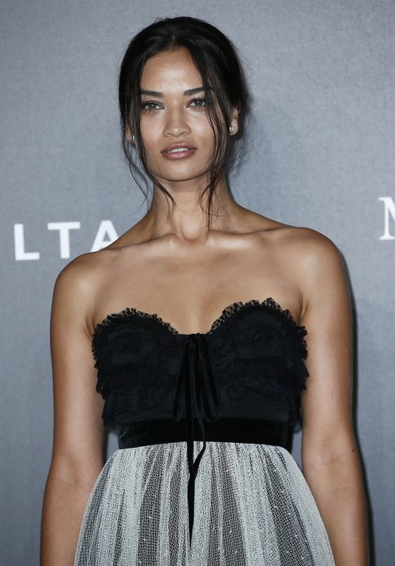 SHANINA SHAIK at Amfar Gala in Milano 09/21/2017