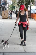 SOPHIE TURNER and Joe Jonas Out with Their Dog in New York 09/07/2017
