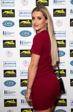 TINA STINNES at Paul Strank Charitable Trust Annual Gala in London 09/23/2017