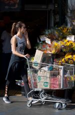 ALESSANDRA AMBROSIO Shopping at Whole Foods in Brentwood 10/20/2017