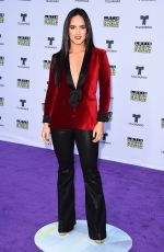 ANA LORENA SANCHEZ at 2017 Latin American Music Awards in Hollywood 10/26/2017