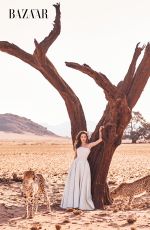 ANGELINA JOLIE for Harper