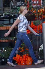 ASHLEY GREENE Shopping at Pavilions Grocery Store in Beverly Hills 10/10/2017