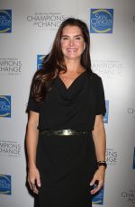 BROOKE SHIELDS at Skin Cancer Foundation