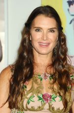 BROOKE SHIELDS at Take Home a Nude Annual Auction and Dinner in New York 10/11/2017
