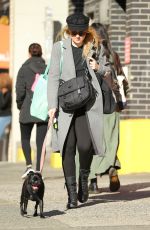 DAKOTA FANNING Out with Her Dog in New York 10/27/2017