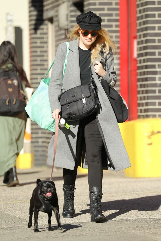 DAKOTA FANNING Out with Her Dog in New York 10/27/2017