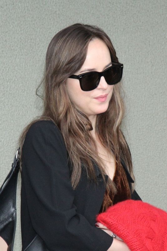DAKOTA JOHNSON at Tom Jobim International Airport in Rio De Janeiro 10/23/2017