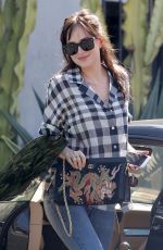 DAKOTA JOHNSON Out for Coffee in West Hollywood 10/09/2017