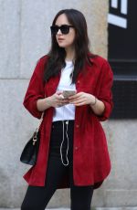 DAKOTA JOHNSON Out on Her 28th Birthday in New York 10/04/2017