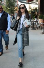 DAKOTA JOHNSON Returning to Her Hotel in New York 10/18/2017
