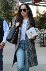 DAKOTA JOHNSON Returning to Her Hotel in New York 10/18/2017