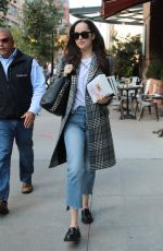 DAKOTA JOHNSON Returning to Her Hotel in New York 10/18/2017