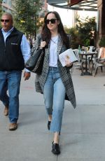 DAKOTA JOHNSON Returning to Her Hotel in New York 10/18/2017