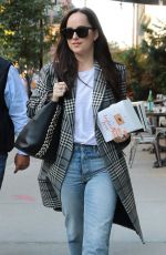 DAKOTA JOHNSON Returning to Her Hotel in New York 10/18/2017